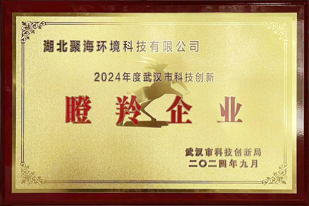 武漢市科技創(chuàng)新瞪羚企業